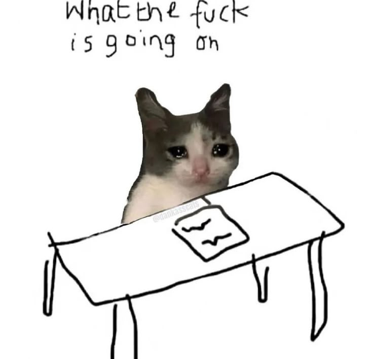 What the fuck is going on